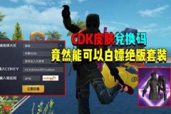 王者荣耀辅助神器脉冲怎么用（王者荣耀辅助器该怎么用）