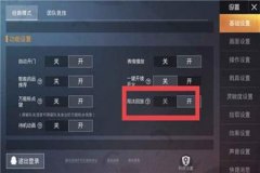 王者荣耀外挂怎么开挂（王者荣耀外挂应该怎么开）