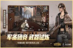 王者荣耀拉枪辅助软件免费（王者荣耀自动压枪辅助软件）
