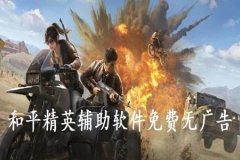 鸡腿王者荣耀辅助怎么登录（王者荣耀小鸽子辅助器怎么登录）