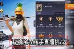 王者荣耀太极外挂用不了怎么办（王者荣耀外挂打不死怎么办）