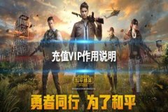 王者荣耀辅助交流软件哪个好（王者荣耀辅助神器软件哪个好用）