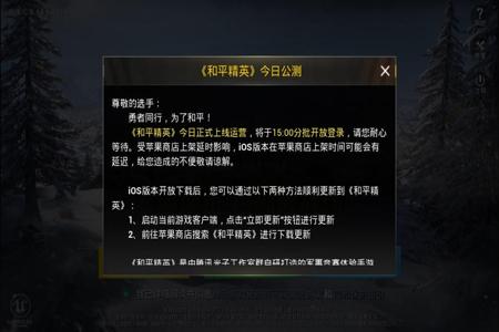 王者荣耀ios手机辅助卡密（王者荣耀ios手机辅助软件）