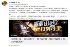 2024王者荣耀免费外挂（2024王者荣耀免费的二维码）