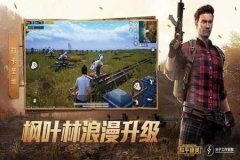 王者荣耀安卓外挂全防（王者荣耀安卓外挂货源）
