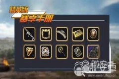 王者荣耀狐勇者辅助器免费（王者荣耀盗墓者辅助器）