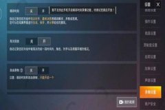 iqoo王者荣耀有准星辅助吗（iqoo有准星辅助吗）