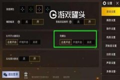 王者荣耀揭秘辅助瞄准怎么用（王者荣耀辅助瞄准怎样开启）