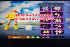 王者荣耀免费辅助器下载（王者荣耀辅助器3.0下载）