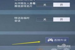 王者荣耀辅助怎么取消设置（王者荣耀辅助键位怎么设置）