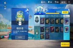 保捷王者荣耀辅助怎么开（王者荣耀辅助怎么用）