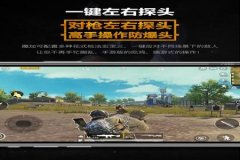 王者荣耀辅助器软件苹果版（王者荣耀辅助器苹果版）
