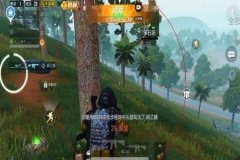 王者荣耀女巫辅助免费（王者荣耀旋风辅助）
