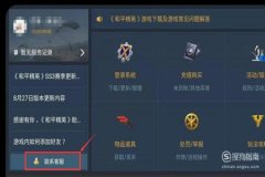 王者荣耀主播使用什么外挂（王者荣耀主播一般都用什么外挂）